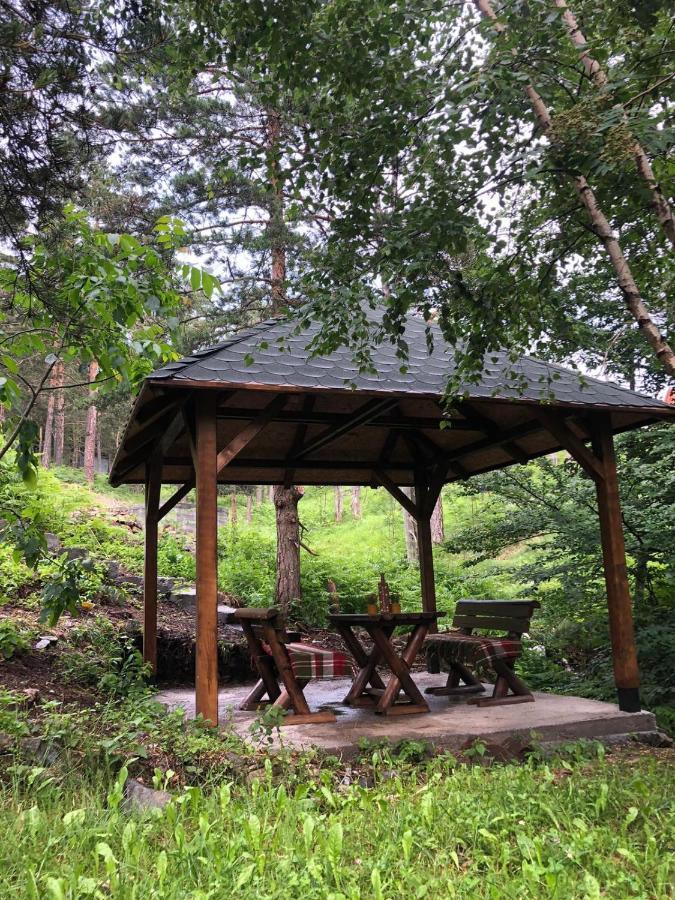 Veselica Villa ดิฟชิบาเร ภายนอก รูปภาพ